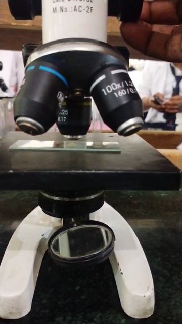 #microscope #short #trending смотреть онлайн