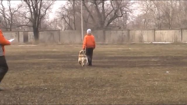 Супрунова Наталия, ка-де-бо Багир (защита)