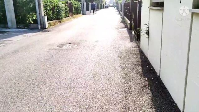 Italy visa news update 2021। Italy student Tourist Business visa update смотреть онлайн