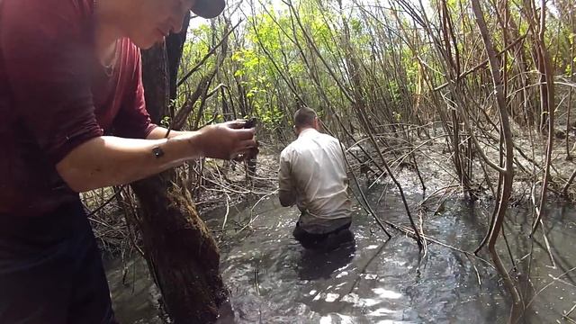 ПОЙМАЛИ ПОЛ МЕШКА РЫБЫ РУКАМИ /ВТОРОЙ ШАНС ДЛЯ ЩУРЯТ смотреть онлайн