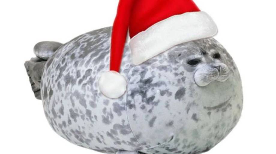 ИГРАЮ В ТЮЛЕНЯ