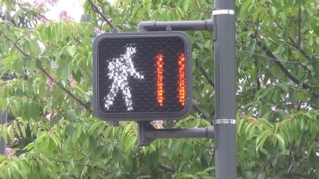 Siemens Pedestrian Signal смотреть онлайн