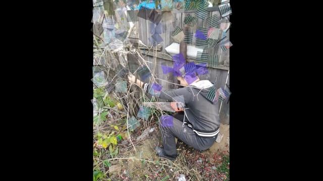 Республиканская олимпиада по самопознанию смотреть онлайн