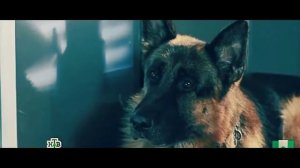 Лена и Макс///Возьми мою руку❤️