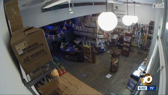 Thieves Bust Into Business, Steals Dog Medicine смотреть онлайн