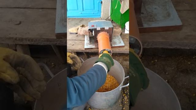 Моя теребілка для кукурудзи. смотреть онлайн