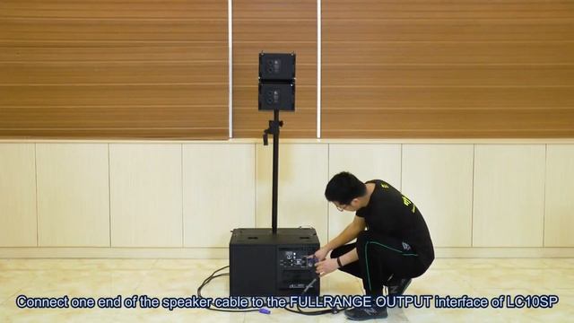 ZSOUND LC8+LC10SP Self-powered Coaxial Mini Line Array Speaker System! смотреть онлайн