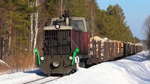 Алапаевская УЖД. ТУ7-2083 с грузовым поездом