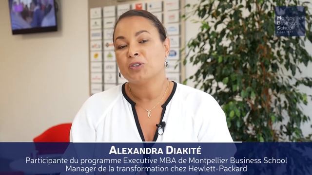 Replay - Emission WebTV Montpellier Business School Executive Education смотреть онлайн