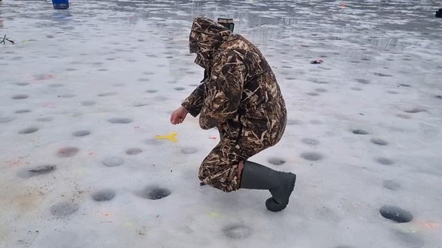 29-01-2025 смотреть онлайн