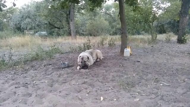 Правильная настройка перед тренировкой смотреть онлайн