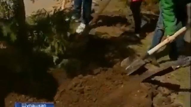 Шупашкарта Çĕнтерÿ аллейине никĕслерĕç посадка деревьев в честь дня победы смотреть онлайн