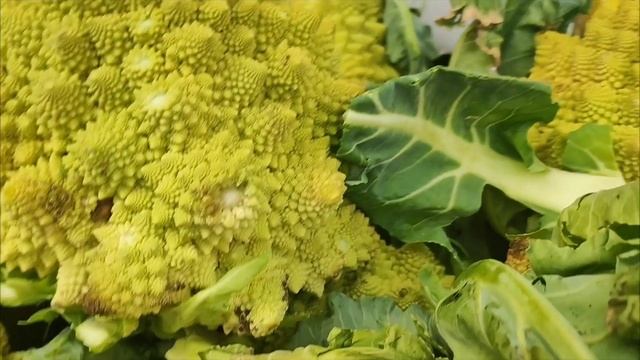 Ярмарка рядом с домом. Чем сегодня удивят фермеры Краснодарских станиц. смотреть онлайн