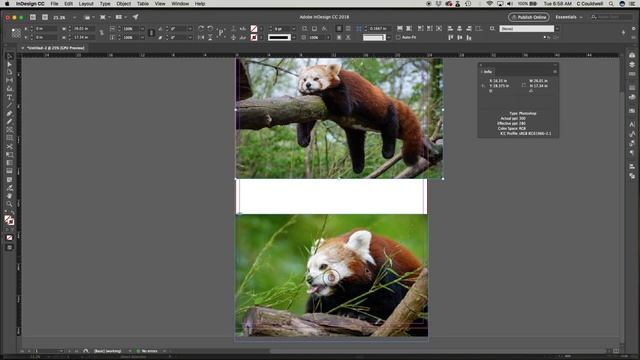 02: Poster Setup and Tiling смотреть онлайн