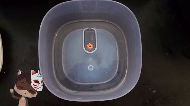 BLINKING RED LIGHT!? Fix for eufy Security Pet Water Fountain смотреть онлайн