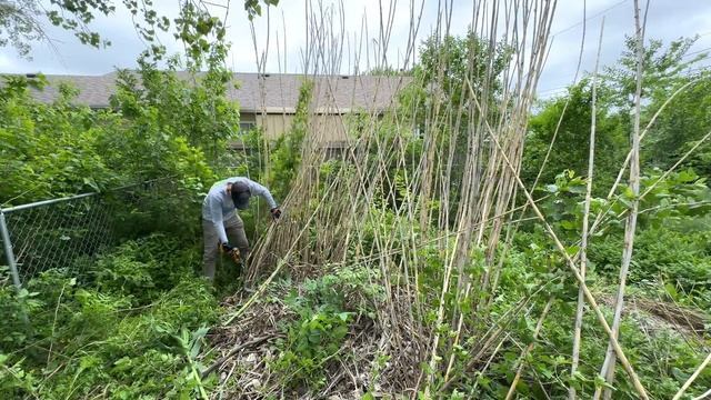 The neighbor said this yard is a BIG UGLY MESS and has been NEGLECTED for 5 years смотреть онлайн