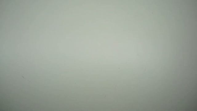 Мешок № 1261018 Брюки Женские Крем. Арт 3202. Вес 34,2 кг. Кол-во 78 шт смотреть онлайн