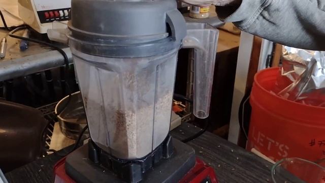 Checking Wheat Berries After 5 Years of Storage смотреть онлайн