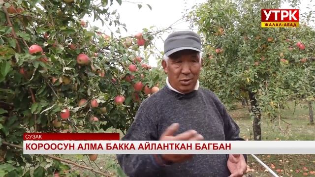Короосун алма бакка айланткан багбан смотреть онлайн