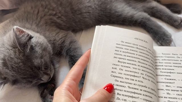 неделя чтения эксклюзивной классики ✨день 3: «вешние воды» Хемингуэй смотреть онлайн