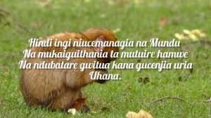 Kikuyu proverbs, kikuyu tradition,Kenya , kikuyu riddles, Kenyan culture