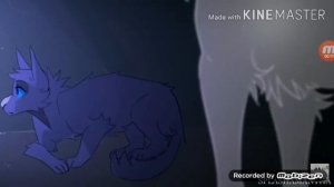 Клип Коты воители Синяя звезда 《Заново》