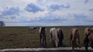 Один день из жизни Уральского Фермера / Работаем не покладая рук