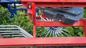 Сбор смородины ягодоуборочным комбайном Oskar A-01 (Jagoda)