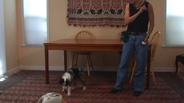 Treat and Train instructional video 5: Game 2 - Target Training смотреть онлайн