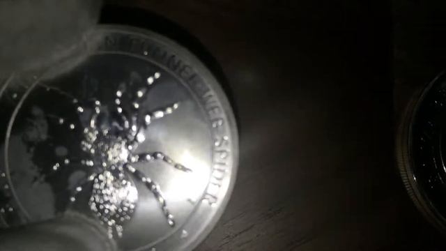 25 Australian Funnel Web Spider Silver Coins / Bullion - Perth Mint смотреть онлайн
