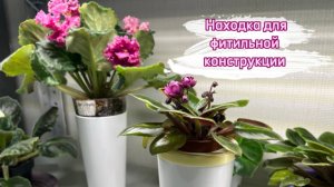 Мастер-класс по созданию конструкции для фитильного полива