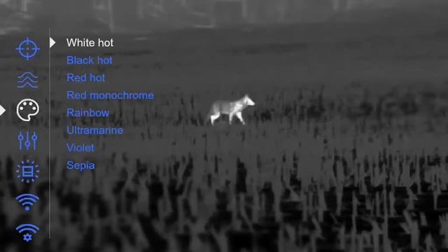 Coyote #27 - hunt part 2. Pulsar thermion 2 XQ50 Pro showing color modes смотреть онлайн