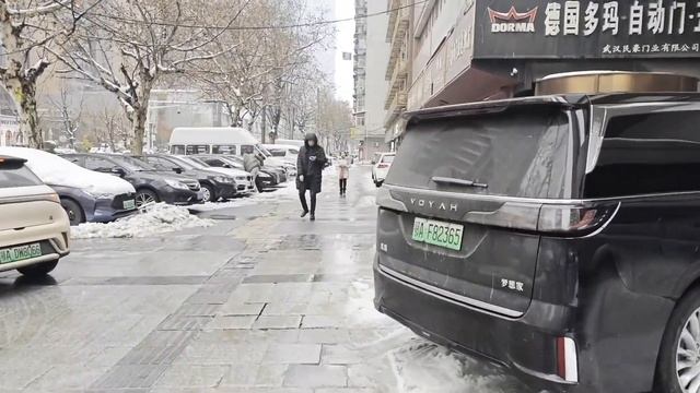 湖北一场大雪，彻底撕下新能源汽车的“遮羞布”，车主们苦不堪言 смотреть онлайн