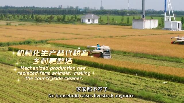 Welcome to Huangqiao Village! ——Taking Foreign Friends to Tour Rural Shanghai смотреть онлайн