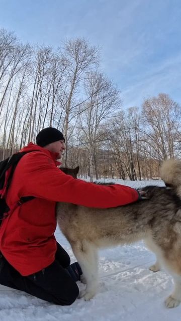 Мы с тобой одной крови смотреть онлайн
