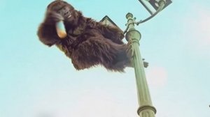 Подборка рекламы для детей №50