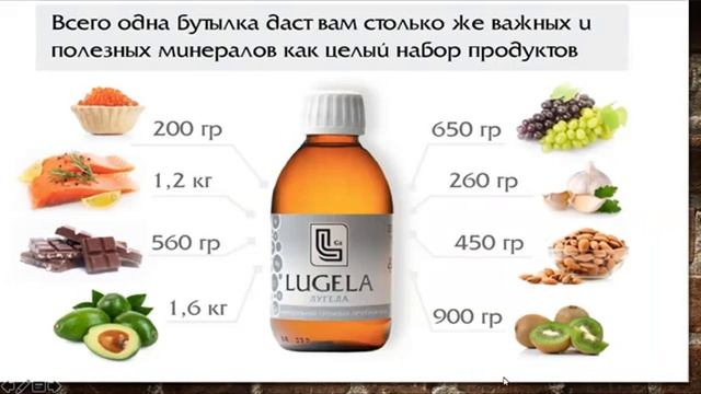 БИЗНЕС ШКОЛА компании Лугела Лайф 24.12.2020 смотреть онлайн