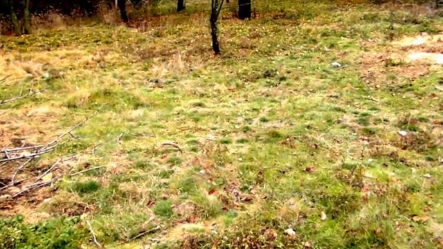 Тера Булгари / парцел в село Мещица 100 7966 смотреть онлайн