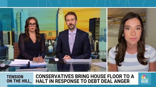 GOP lawmakers bring House business to a halt amid debt deal protest смотреть онлайн