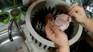 Обзор Плакер Мини-330П перосъемная машина для перепелов