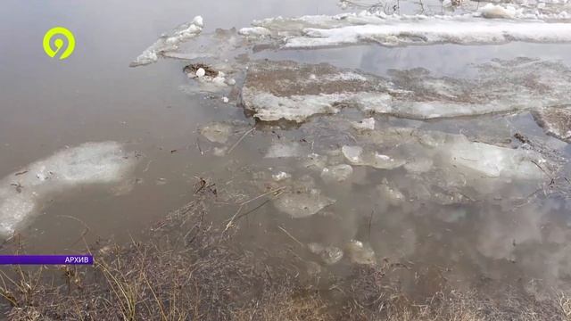 Еженедельное совещание у губернатора смотреть онлайн