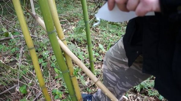 Тесты ножа Коршун 3 ПП Кизляр рез и рубка Бамбука AUS8