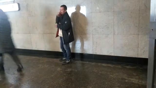 Бездомный поет песню о любви / homeless singing about love смотреть онлайн