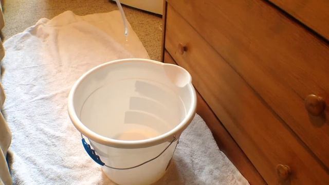 Adding New Fish? How To Drip Acclimate New Fish To Your Tank смотреть онлайн