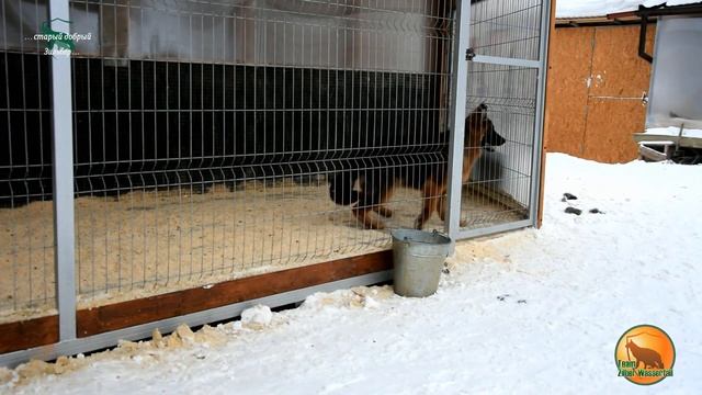 Team Zilber Wasserfall OKTAVA / LH / Video #04 смотреть онлайн