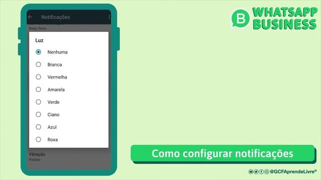 Como configurar as notificações do WhatsApp Business | Curso de WhatsApp Business смотреть онлайн