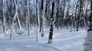 Ловим 300000 рублей и Возвращаем их Домой/Жизнь в Сельской Местности/Лошадиный Транквилизатор