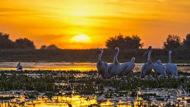 Oriental Charm Drums and Flute Music -- Good for Sleep, Meditation, Relax смотреть онлайн