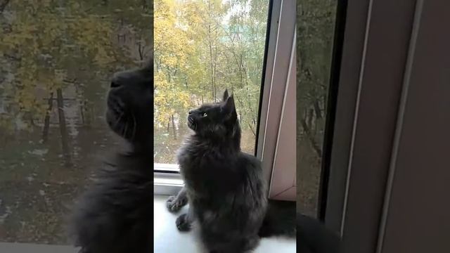 Альберт Эйнштейн. смотреть онлайн
