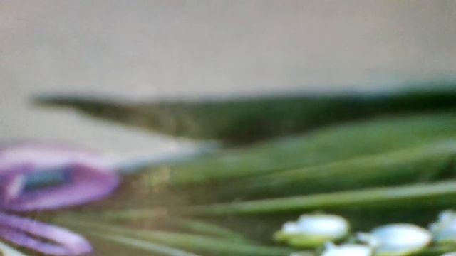 Новый год в Новый год в гости к нам приходит.Развеселый Дед Мороз к нам с мешком заходит(наброски смотреть онлайн